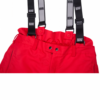 P1c